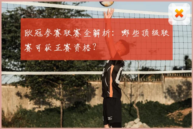 欧冠参赛联赛全解析：哪些顶级联赛可获正赛资格？
