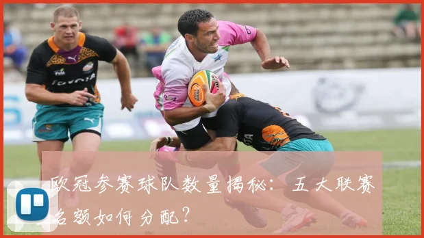 欧冠参赛球队数量揭秘：五大联赛名额如何分配？